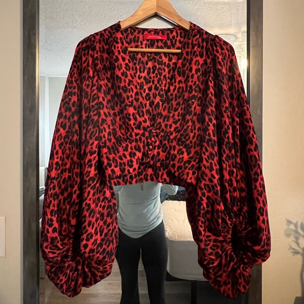 NWOT Plunge neck long sleeve crop top